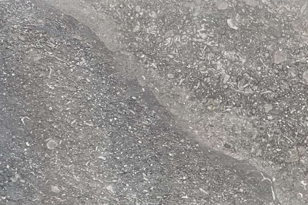 Umbra, warm taupe grey natural stone swatch