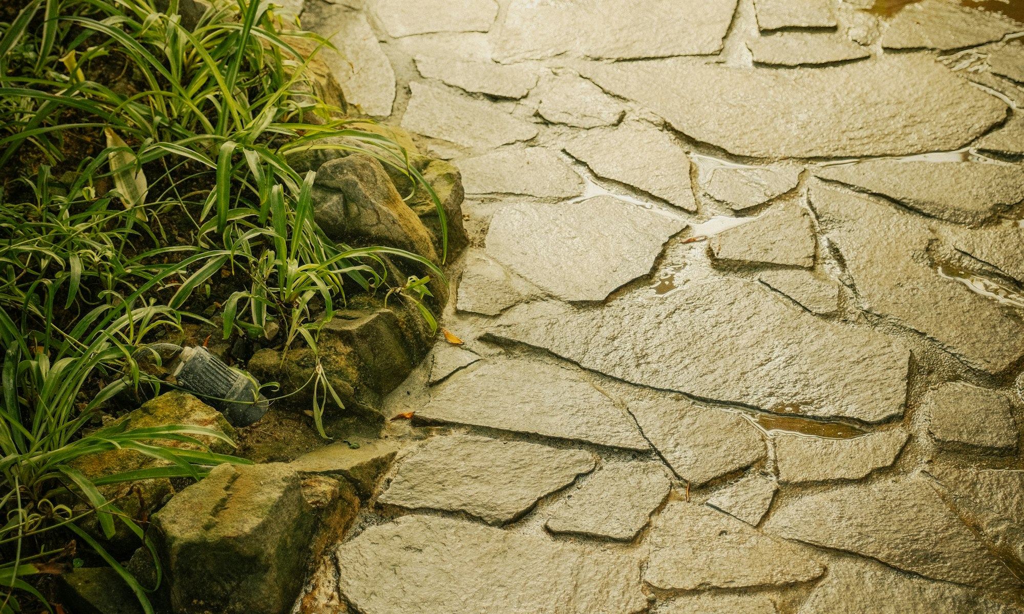 Wet natural stone crazy paving path winding through a lush garden