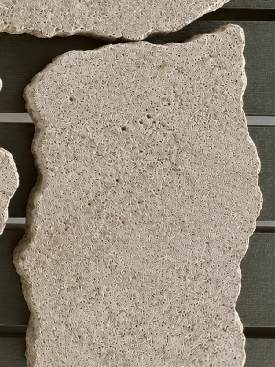 Fossil-rich Moroccan limestone texture, pale cream crazy paving